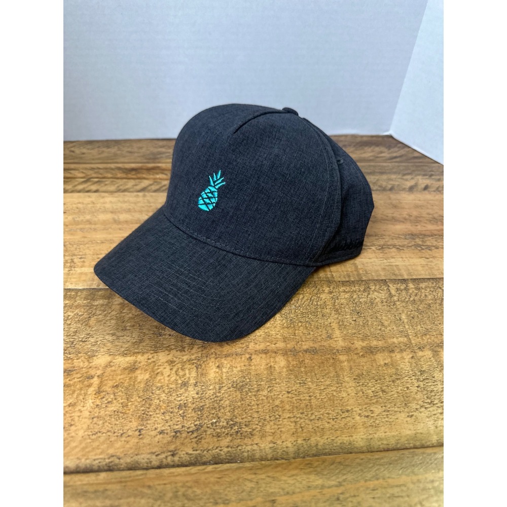 Chubbies Mens Snapback Hat Charcoal Gray Teal Pineapple Embroidered Baseball Cap